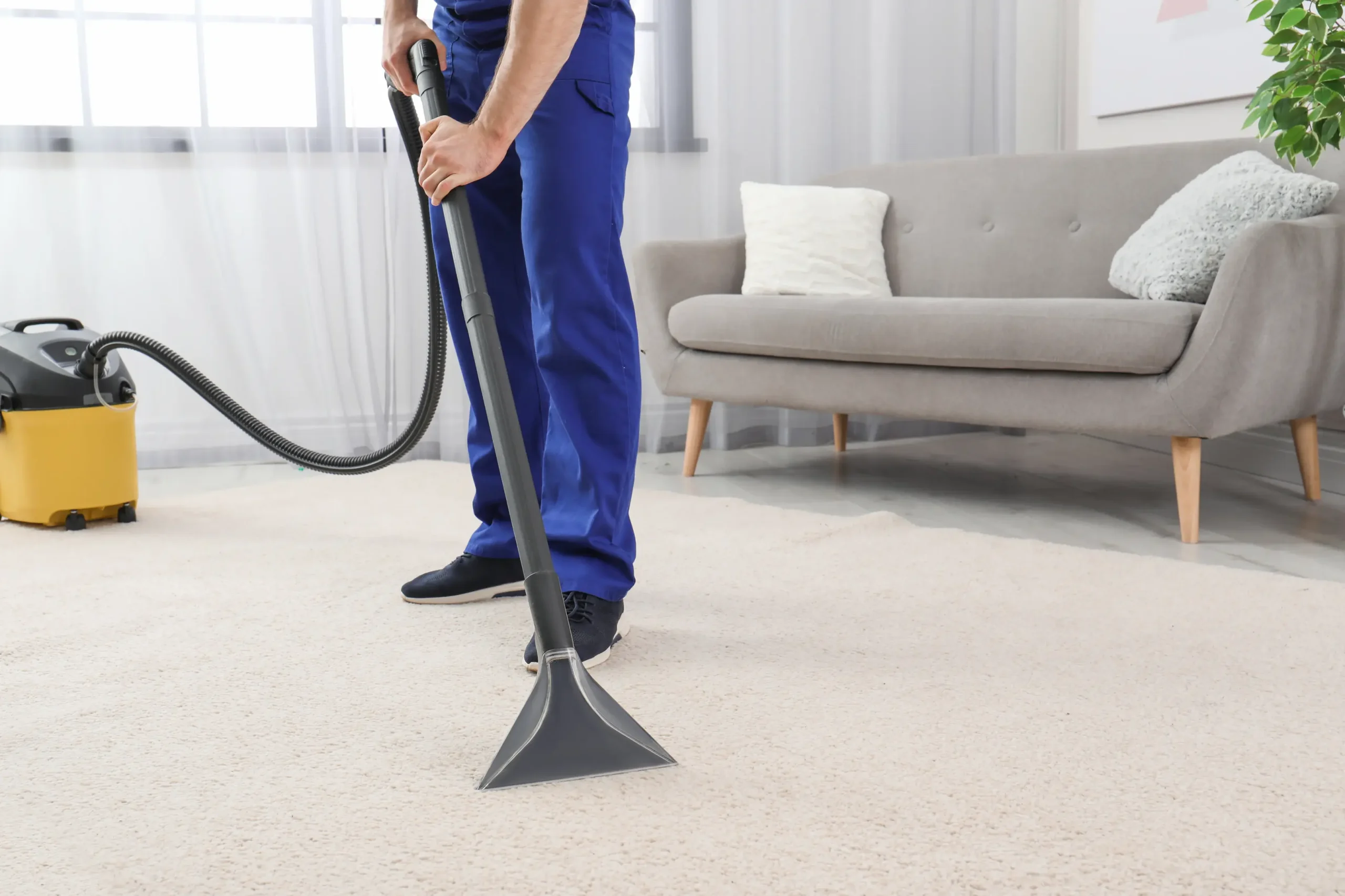 professional-cleaner-cleans-carpet-with-vacuum-in